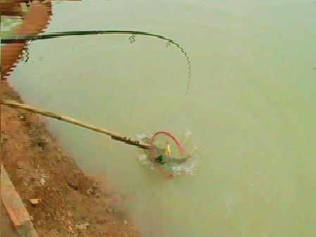 "Cần thủ" ra chiêu vét cá, chủ hồ xanh mặt